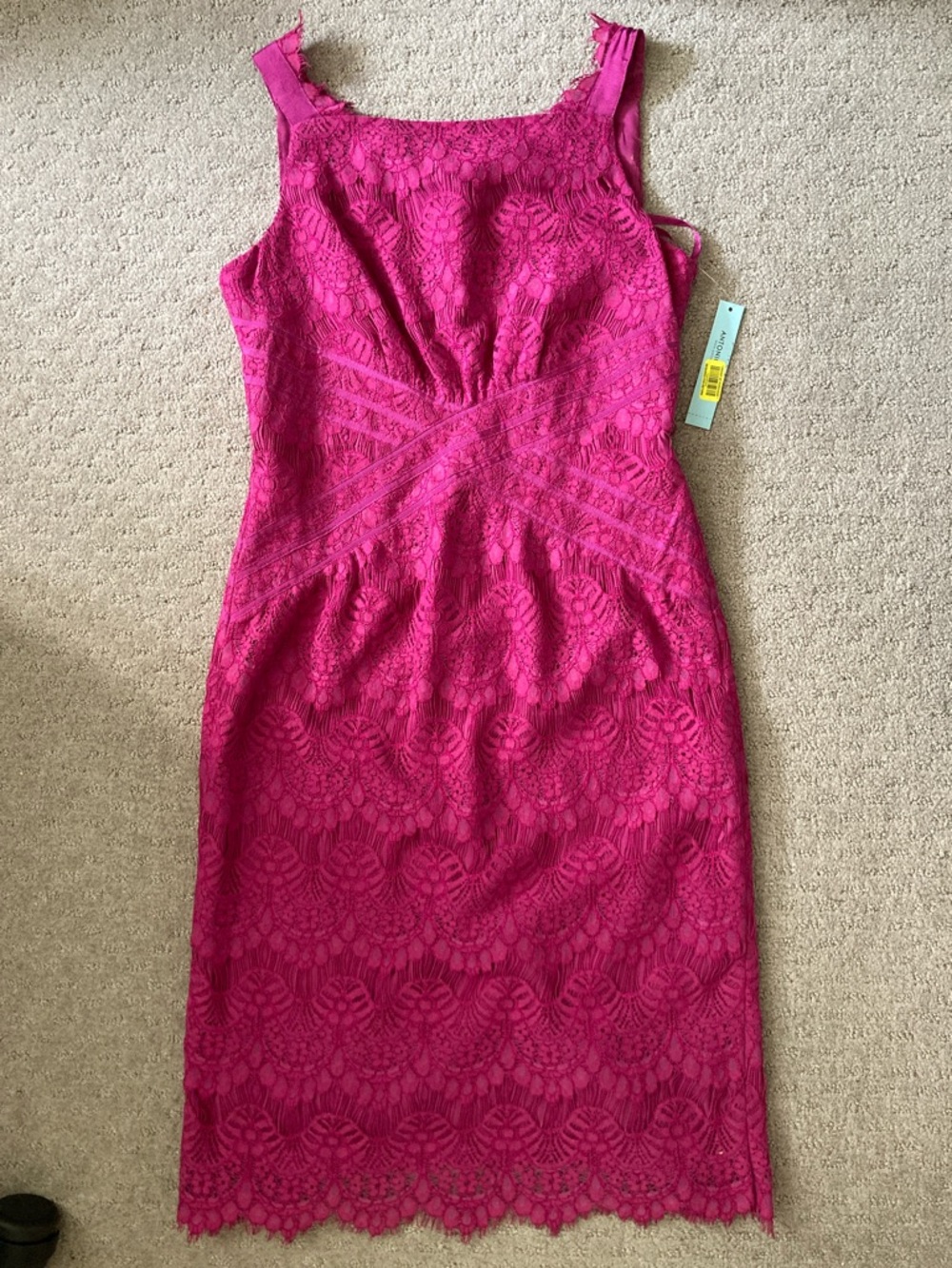NWT Antonio Melani Shawny lace sheath dress, Sz 6.